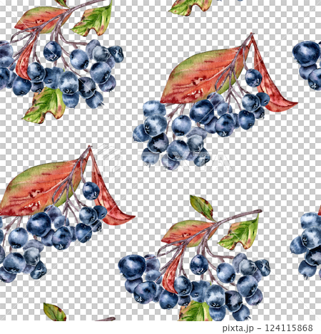 Watercolor black chokeberry seamless pattern with aronia berries and red leaves isolated on white. Autumn botanical repeat background hand drawn for fabric cottagecore style, packaging, autumn decor. Watercolor black chokeberry seamless pattern with aronia berries and red leaves isolated on white. Autumn botanical repeat background hand drawn for fabric cottagecore style, packaging, autumn decor. 124115868