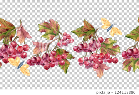 Viburnum berries on tree branches and butterflies watercolor seamless border isolated. Colorful autumn repeat texture with leaves hand drawn for seasonal background, packaging, and cottagecore decor. 124115880