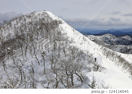 北海道大雪山山系 冬の北海道大分水点より 三国山山頂を望む 北海道大雪山山系 冬の北海道大分水点より 三国山山頂を望む 124116045