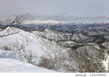 北海道大雪山山系　冬の三国山への稜線より　雪のニセイカウシュッペ山や 北大雪の山々を望む 124116047
