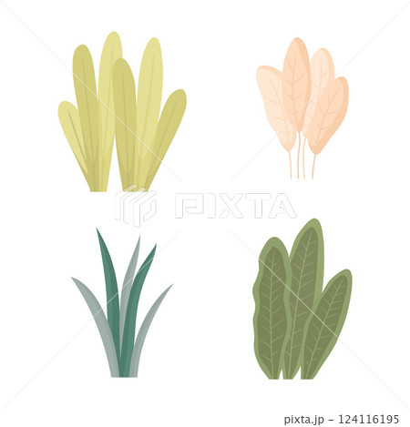 Elements Set of Tropical Leaves Foliage Grass Botany Nature Plant in Park Garden Elements Set of Tropical Leaves Foliage Grass Botany Nature Plant in Park Garden 124116195