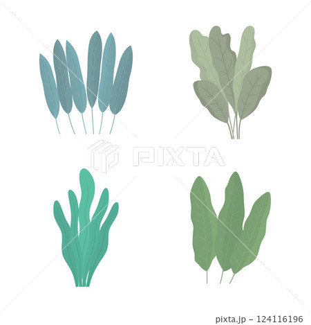 Elements Set of Tropical Leaves Foliage Grass Botany Nature Plant in Park Garden Elements Set of Tropical Leaves Foliage Grass Botany Nature Plant in Park Garden 124116196