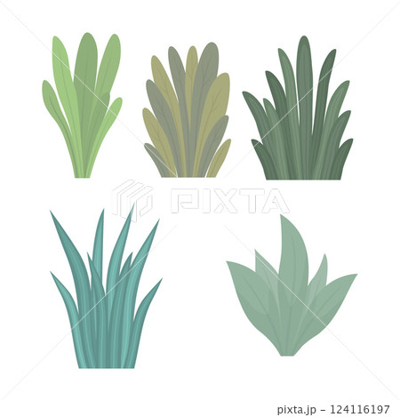 Elements Set of Tropical Leaves Foliage Grass Botany Nature Plant in Park Garden Elements Set of Tropical Leaves Foliage Grass Botany Nature Plant in Park Garden 124116197