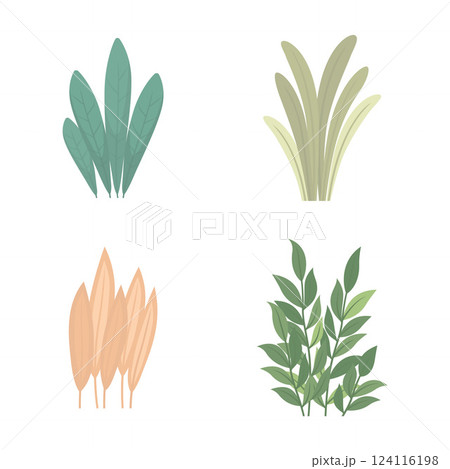 Elements Set of Tropical Leaves Foliage Grass Botany Nature Plant in Park Garden Elements Set of Tropical Leaves Foliage Grass Botany Nature Plant in Park Garden 124116198