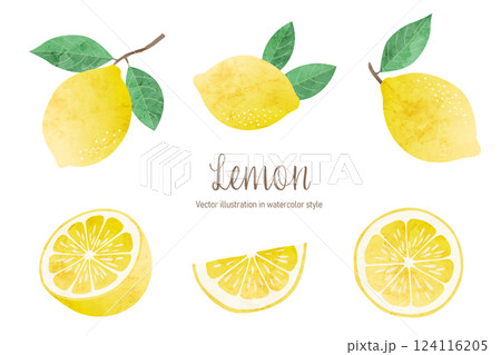 モンの水彩風ベクターイラスト、檸檬のイラストセット 124116205