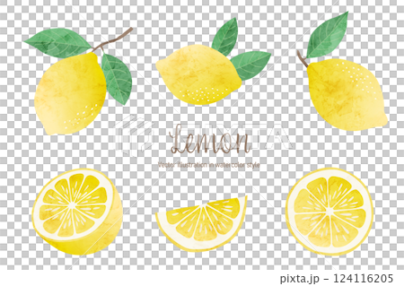 Watercolor style vector illustration of Mon, set of lemon illustrations Watercolor style vector illustration of Mon, set of lemon illustrations 124116205