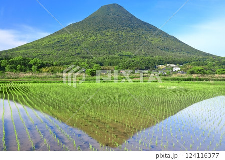 【鹿児島県】晴天の逆さ開聞岳（指宿） 124116377