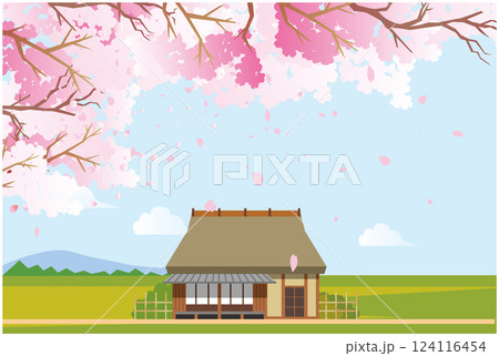 春の桜の花びら背景 124116454