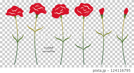 シンプルなカーネーションのイラスト素材セット ベクター 赤 母の日  白背景 124116795