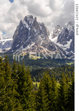 Majestic mountain landscape with snowy peaks and lush forests on a cloudy day near Valley of Funes at Dolomites, Italy 124116923