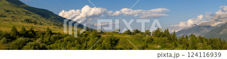 Panoramic View of Lush Green Hills Under Blue Sky Panoramic View of Lush Green Hills Under Blue Sky 124116939