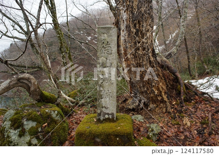 徳山城跡 124117580