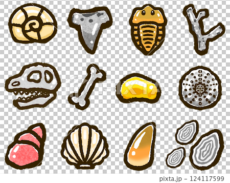 A set of doodle-style illustrations of various types of fossils 124117599