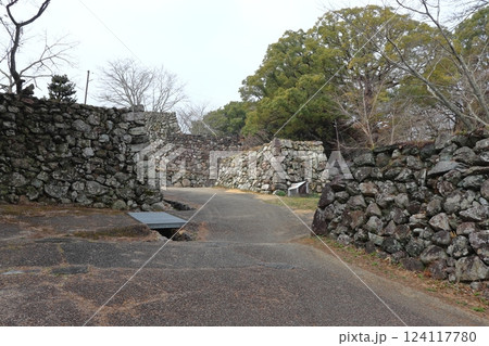 田丸城の石垣群（三重県度会郡玉城町） 124117780