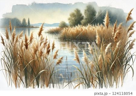 葦原・ヨシ原 124118054