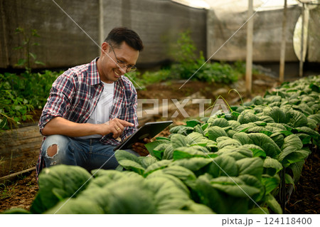 Smiling farmer kneels in a greenhouse while using digital tablet to monitor crop growth Smiling farmer kneels in a greenhouse while using digital tablet to monitor crop growth 124118400