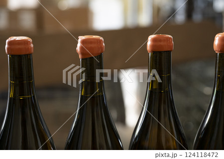 Hot Pot Machine for Wine Bottle Sealing Wax 124118472