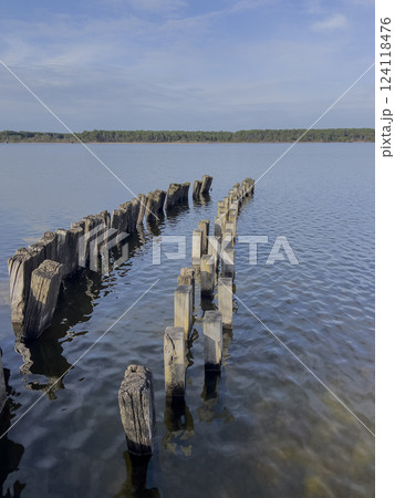 Old wooden pilings emerge from the calm waters of Lac Sanguinet in Gironde, France, reflecting the Old wooden pilings emerge from the calm waters of Lac Sanguinet in Gironde, France, reflecting the 124118476