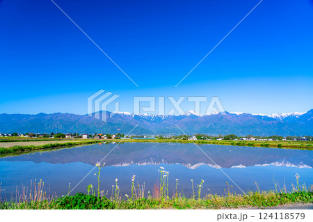 【初夏素材】初夏の安曇野の田園風景・水鏡【長野県】 124118579