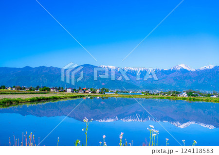 【初夏素材】初夏の安曇野の田園風景・水鏡【長野県】 124118583
