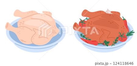 Raw and cooked chicken carcass on dinner plate. Food preparing. Barbecue meat dish. Whole broiler cooking. Uncooked poultry. Roasted turkey. Kitchen product. Bird preparation vector set 124118646