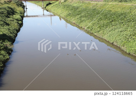 汚く濁った川 124118665