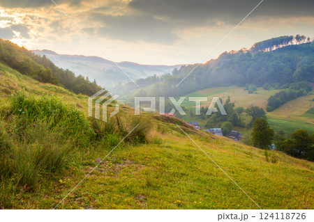 landscape of rural valley with dawn sky. nature environment in summer. green meadow in mountain and forest on hill. scenic travel view. beautiful countryside background with grass for outdoor tourism 124118726