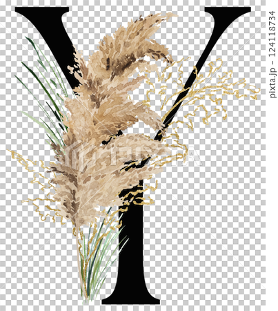 Black letter Y with watercolor biege and golden dried pampas grass, tropical wedding illustration 124118734
