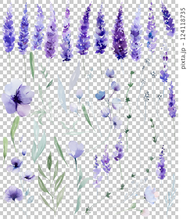 Watercolor lavender flowers and leaves isolated illustration. Purple elements for summer wedding 124118735
