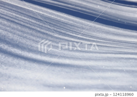 北海道の冬 雪原に写る木の影 北海道の冬 雪原に写る木の影 124118960