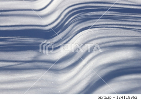 北海道の冬 雪原に写る木の影 北海道の冬 雪原に写る木の影 124118962
