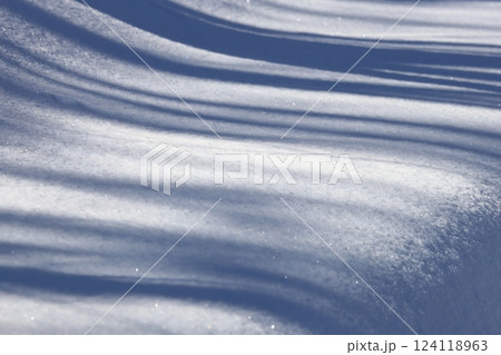 北海道の冬 雪原に写る木の影 北海道の冬 雪原に写る木の影 124118963