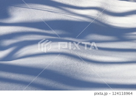 北海道の冬 雪原に写る木の影 北海道の冬 雪原に写る木の影 124118964