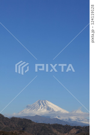 伊豆の長岡温泉から見た冬の朝の富士山 124119128