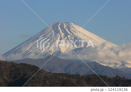 伊豆の長岡温泉から見た冬の朝の富士山 124119136