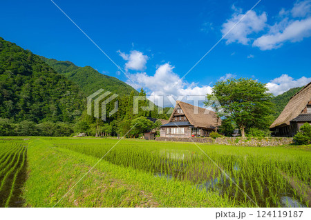 【世界遺産】初夏の五箇山・菅沼合掌造り集落【富山県】 【世界遺産】初夏の五箇山・菅沼合掌造り集落【富山県】 124119187