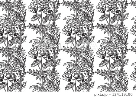 Line art botanical seamless plant pattern with flowers vector illustration. Black outline repeating floral pattern in white background. Graphic design for Fashion Cover Textile Coloring Page Birthday Line art botanical seamless plant pattern with flowers vector illustration. Black outline repeating floral pattern in white background. Graphic design for Fashion Cover Textile Coloring Page Birthday 124119190