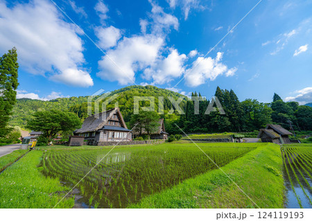 【世界遺産】初夏の五箇山・菅沼合掌造り集落【富山県】 【世界遺産】初夏の五箇山・菅沼合掌造り集落【富山県】 124119193
