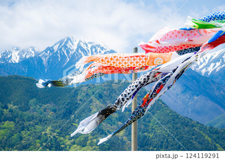 【初夏素材】大空を泳ぐ鯉のぼり【長野県】 124119291