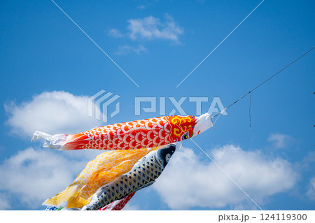 【初夏素材】大空を泳ぐ鯉のぼり【長野県】 124119300