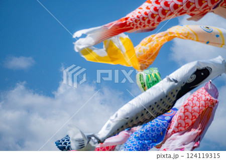 【初夏素材】大空を泳ぐ鯉のぼり【長野県】 124119315