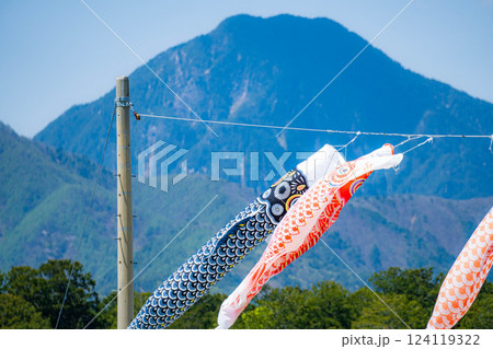 【初夏素材】大空を泳ぐ鯉のぼり【長野県】 124119322