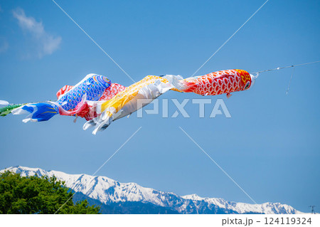 【初夏素材】大空を泳ぐ鯉のぼり【長野県】 124119324