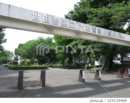 バラ園のバラが咲く世田谷区の大蔵運動公園（総合運動場） 124119469