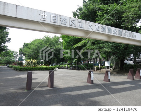 バラ園のバラが咲く世田谷区の大蔵運動公園(総合運動場) バラ園のバラが咲く世田谷区の大蔵運動公園(総合運動場) 124119470