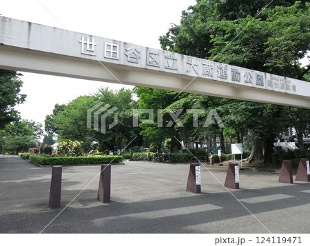 バラ園のバラが咲く世田谷区の大蔵運動公園(総合運動場) バラ園のバラが咲く世田谷区の大蔵運動公園(総合運動場) 124119471