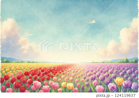 チューリップ畑 124119637