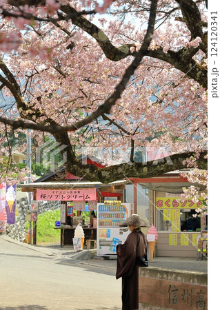 長野県高遠城址公園さくら祭り　桜の下の托鉢僧 124120341