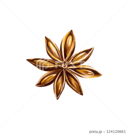 Whole star anise. Watercolor hand drawn aromatic Christmas spice illustration isolated on transparent background. For designers, menu, decoration, food blog, ecofriendly branding. Healthy Vegetarian Whole star anise. Watercolor hand drawn aromatic Christmas spice illustration isolated on transparent background. For designers, menu, decoration, food blog, ecofriendly branding. Healthy Vegetarian 124120661