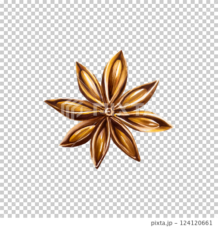 Whole star anise. Watercolor hand drawn aromatic Christmas spice illustration isolated on transparent background. For designers, menu, decoration, food blog, ecofriendly branding. Healthy Vegetarian Whole star anise. Watercolor hand drawn aromatic Christmas spice illustration isolated on transparent background. For designers, menu, decoration, food blog, ecofriendly branding. Healthy Vegetarian 124120661